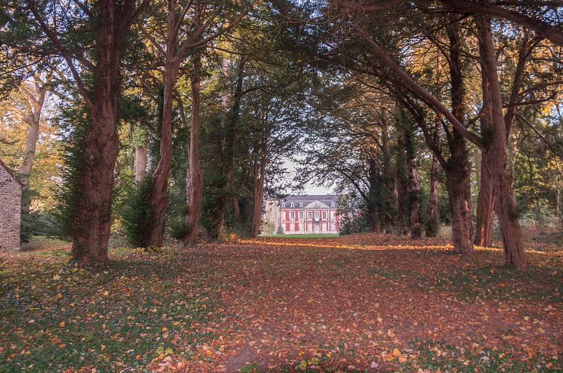 Villa in bos by Fatima Maria Mernisi