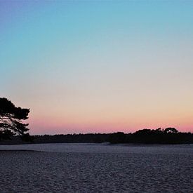 soesterduinen von Matthijs Heeneman