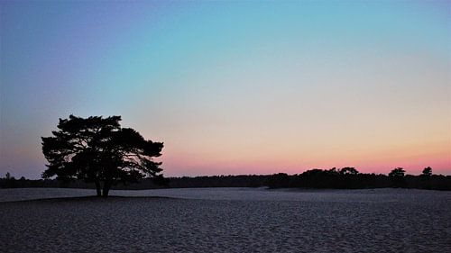 soesterduinen