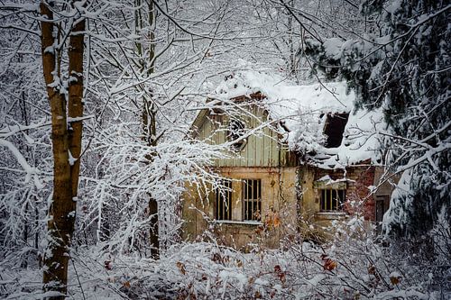 Het heksenhuisje in het winterbos
