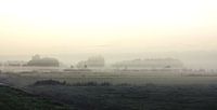 Misty morning glory