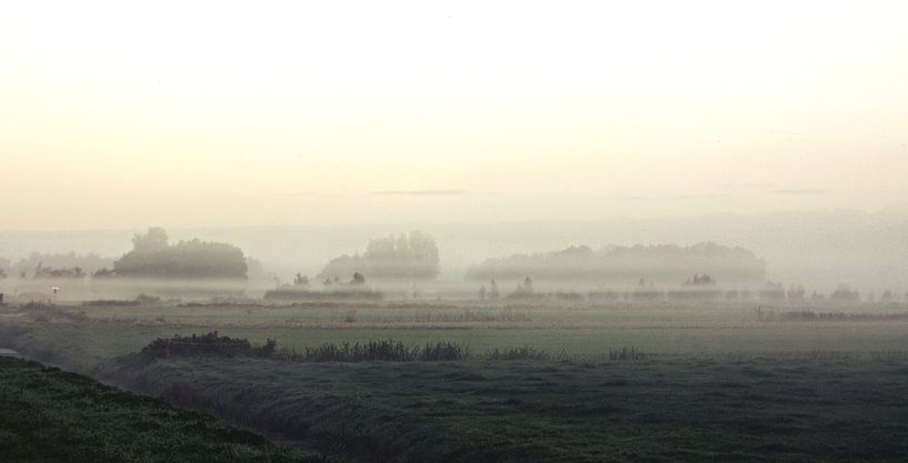 Misty morning glory by Mark de Boer