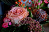 Roze roos in herfstboeket (close-up)