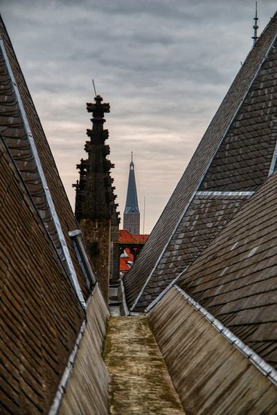roof walburgis by michel nolsen
