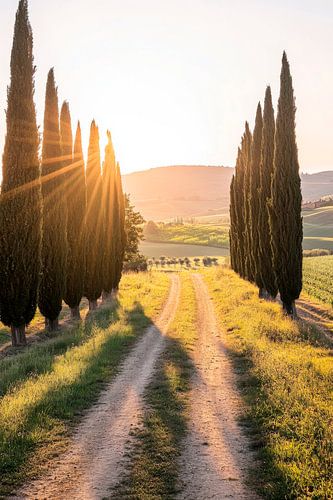 Toscaans landschap