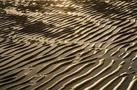 Natuurlijke rimpels in het strand bij zonsondergang van Tonko Oosterink thumbnail