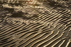 Natuurlijke rimpels in het strand bij zonsondergang