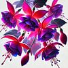 Fuchsia magic - magische bloemen in levendige kleuren van Eric Nagel