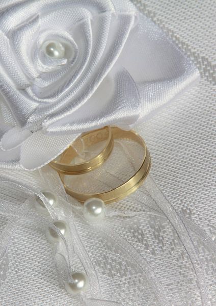 Ringen von Marcel van der Kolk