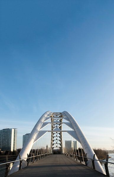 Toronto by Hello Pompoyo