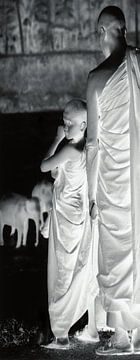Tafel 1 der Diptychon-Mönche beim Baden von Elefanten