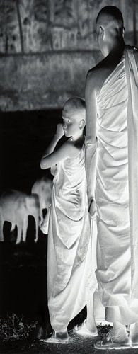 Paneel 1 van tweeluik: monniken bij badende olifanten