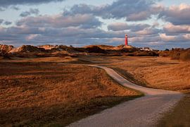 Hertenbosje met vuurtoren van Schiermonnikoog fotografie