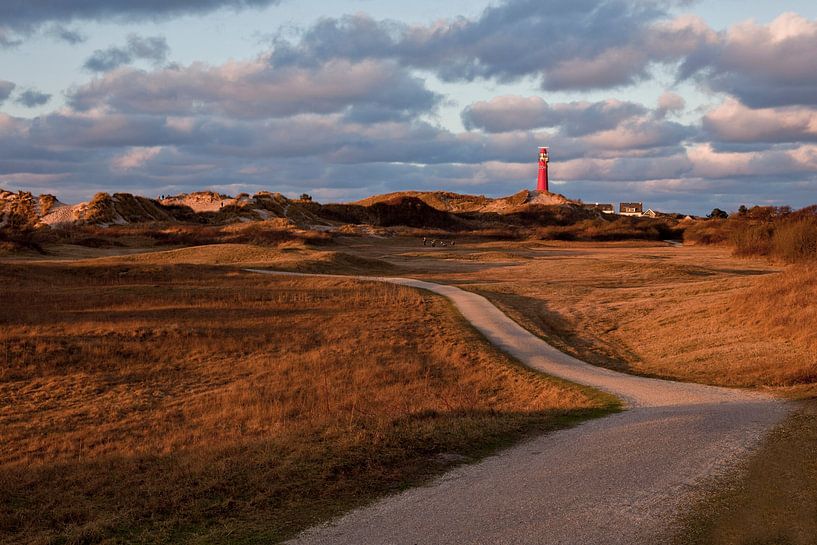 Hirschwald mit Leuchtturm von Schiermonnikoog fotografie