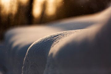 Sneeuwvlokjes vallen in de sneeuw. Rustgevend beeld van Hidde Hageman