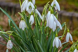 Gentle departure by Photoart-Naegele