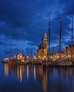 Hoorn in Blue van Bart Hendrix thumbnail