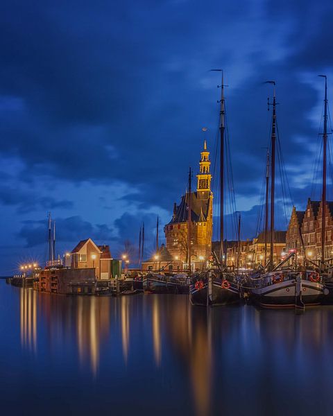 Hoorn in Blue van Bart Hendrix