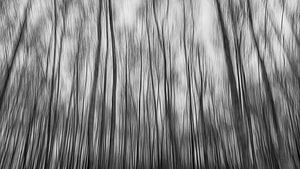 Abstrakter Wald von Mark Bolijn
