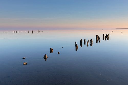 Paaltjes in de Waddenzee bij eb - Natuurlijk Wadden
