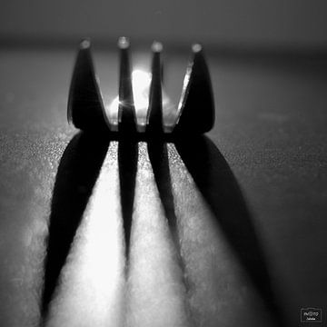 Schaduwspel vork van Photo Julleke