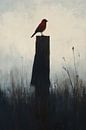 Rood vogeltje op de uitkijk van Bianca ter Riet thumbnail