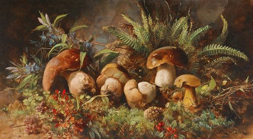 Glückspilze, Hans Zatzka