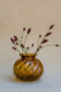 Pimpernel - Weich und verträumt
