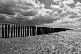 Paalhoofden bij Zoutelande van Zeeland op Foto