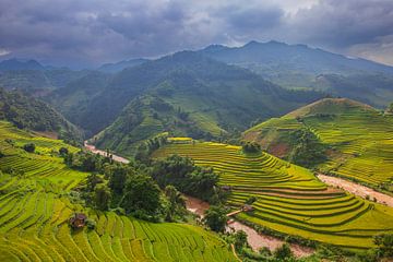 The breathtaking rice fields of Mu Cang Chai, Vietnam by Antwan Janssen