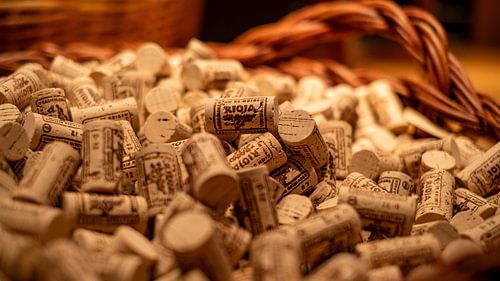 Bodega dans la Rioja