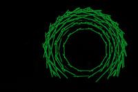 Nest licht kunst groen