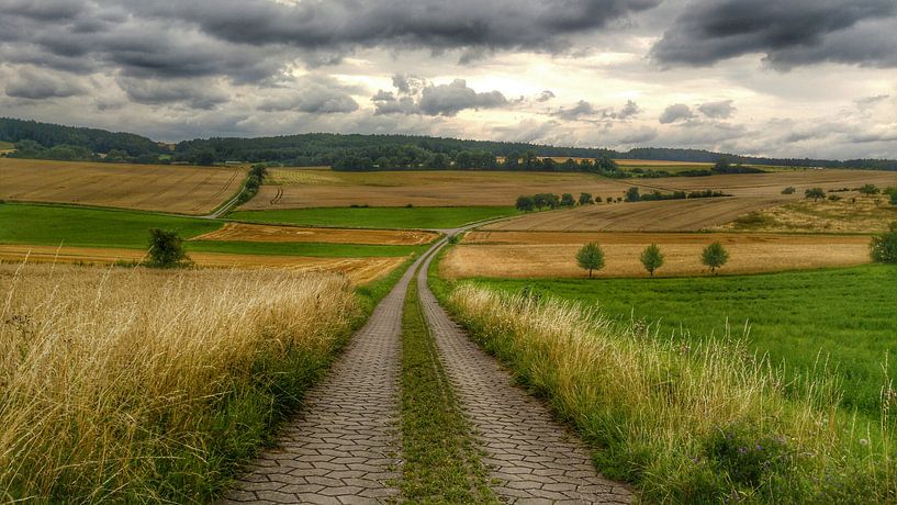 Franconian landscape by Andrea Meister