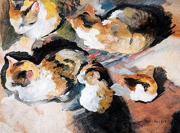 August Macke's Katzenstudien (Study of a Cat) by Dina Dankers