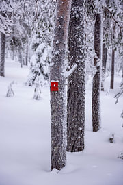 Rote Wandermarkierung im Schnee von Robbert Frie