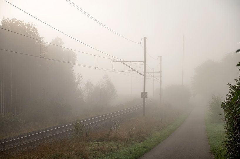 Track in the fog by Richard Wareham