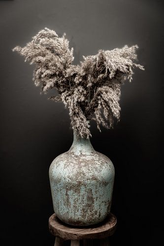 still life vase with pampas grass