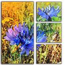 blauwe korenbloemen in 4 delen van Joke te Grotenhuis thumbnail