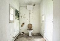 Dirty Toilet