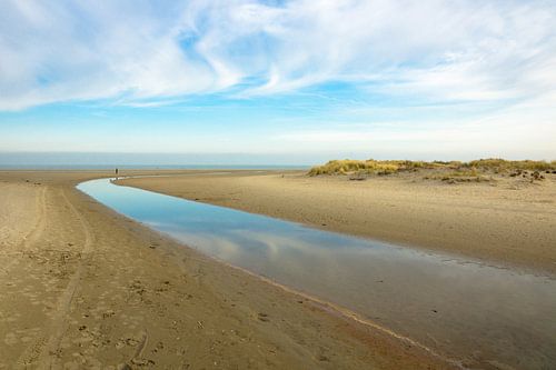 Strand en Duinen