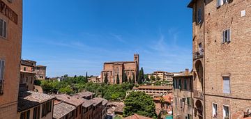 Panorama met de Basiliek van San Domenico in Siena van Peter Baier