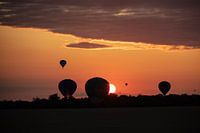 Hot Air Balloon Festival
