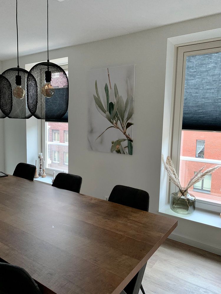 Olive tree | olive branches | fine art photography | botanical  by Lindy Schenk-Smit 