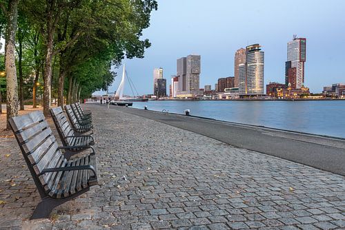 Rotterdam Skyline Kop van zuid (blauwe uurtje)