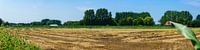 Panorama gemaaid graanveld