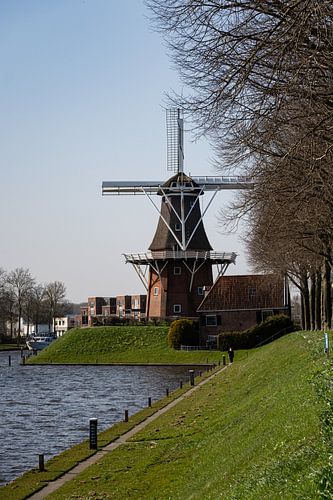 Mill Zeldenrust in Dokkum: A Green Portrait of Heritage and Nature