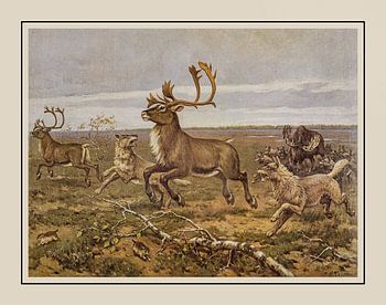 School plate A.M. Koekkoek - "In the Siberian plain"