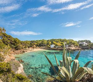Idyllische Bucht von Cala Gat, Cala Rajada, Mallorca