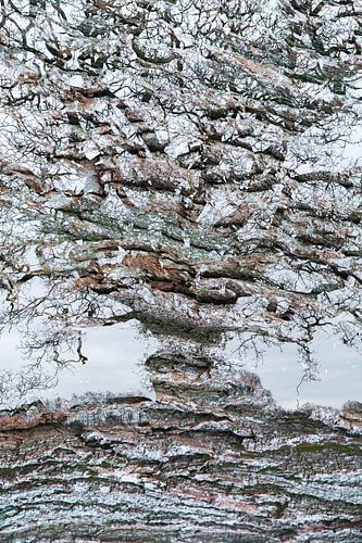 Un arbre en plusieurs couches