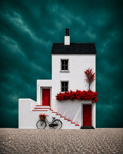 De fiets en de bloemen